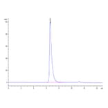 SEC-HPLC - Recombinant Human Nectin 2 Protein (C-terminal His and Avi Tag) (A331092) - Antibodies.com