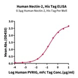 Standard Curve - Recombinant Human Nectin 2 Protein (C-terminal His and Avi Tag) (A331092) - Antibodies.com
