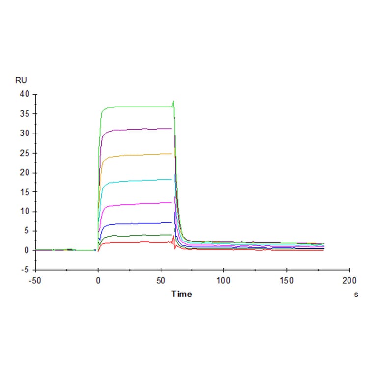 SPR Assay - Recombinant Human Nectin 2 Protein (C-terminal His and Avi Tag) (A331092) - Antibodies.com