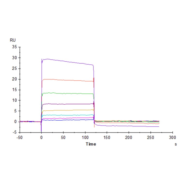 SPR Assay - Recombinant Human Nectin 2 Protein (C-terminal His and Avi Tag) (A331092) - Antibodies.com