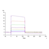 SPR Assay - Recombinant Human Nectin 2 Protein (C-terminal His and Avi Tag) (A331092) - Antibodies.com
