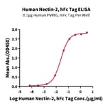 Standard Curve - Recombinant Human Nectin 2 Protein (C-terminal Human Fc Tag) (A331093) - Antibodies.com