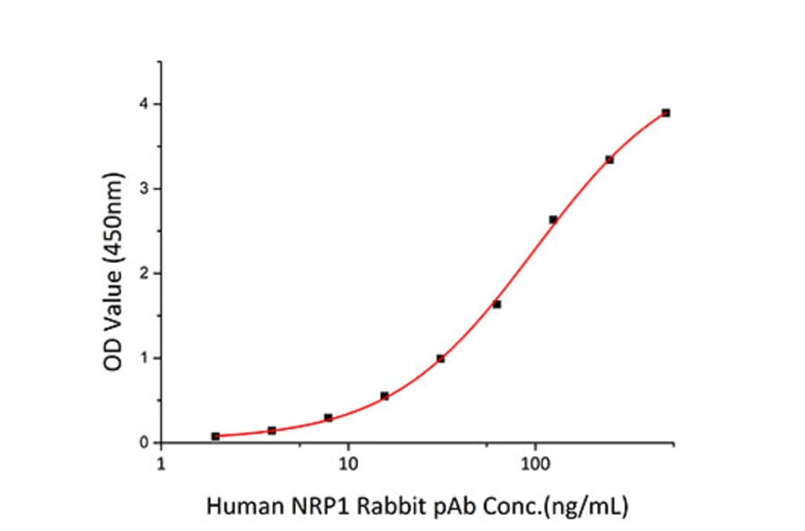 Standard Curve - Recombinant Human Neuropilin-1 Protein (C-terminal His Tag) (A331097) - Antibodies.com