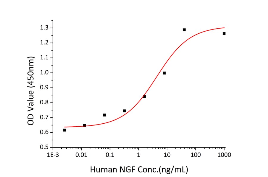 Proliferation Assay - Recombinant Human NGF Protein (C-terminal His Tag) (A331100) - Antibodies.com