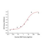 Proliferation Assay - Recombinant Human NGF Protein (C-terminal His Tag) (A331100) - Antibodies.com