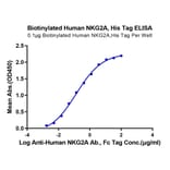 Standard Curve - Recombinant Human NKG2A Protein (Biotin) (N-terminal His and Avi Tag) (A331101) - Antibodies.com