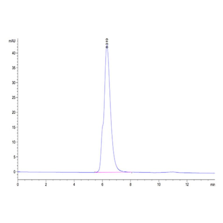 SEC-HPLC - Recombinant Human NKG2A + CD94 Protein (C-terminal Mouse Fc Tag) (A331102) - Antibodies.com