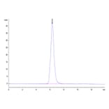 SEC-HPLC - Recombinant Human NKG2A + CD94 Protein (C-terminal Mouse Fc Tag) (A331102) - Antibodies.com