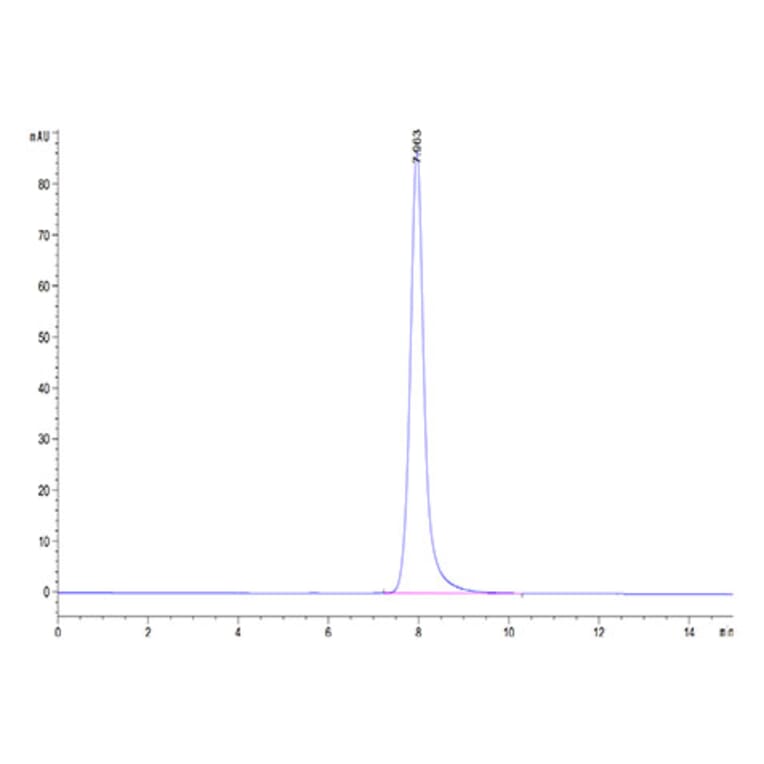 SEC-HPLC - Recombinant Human NKG2A + CD94 Protein (N-terminal His and Avi Tag) (A331103) - Antibodies.com