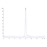SEC-HPLC - Recombinant Human NKG2A + CD94 Protein (N-terminal His and Avi Tag) (A331103) - Antibodies.com