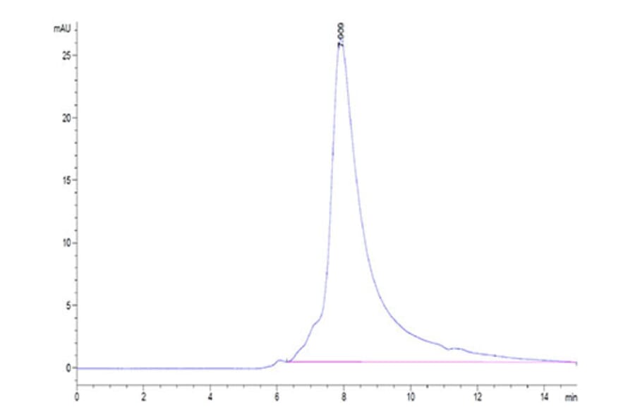 SEC-HPLC - Recombinant Human NKG2D Protein (Biotin) (N-terminal His and Avi Tag) (A331108) - Antibodies.com