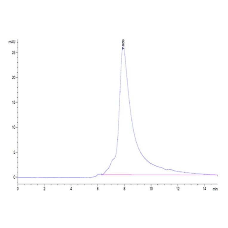 SEC-HPLC - Recombinant Human NKG2D Protein (Biotin) (N-terminal His and Avi Tag) (A331108) - Antibodies.com