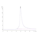 SEC-HPLC - Recombinant Human NKG2D Protein (Biotin) (N-terminal His and Avi Tag) (A331108) - Antibodies.com