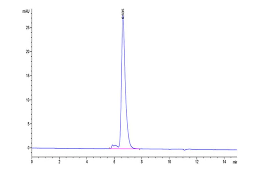 SEC-HPLC - Recombinant Human Notch1 Protein (Biotin) (C-terminal His and Avi Tag) (A331114) - Antibodies.com