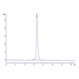 SEC-HPLC - Recombinant Human Notch1 Protein (Biotin) (C-terminal His and Avi Tag) (A331114) - Antibodies.com