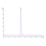 SEC-HPLC - Recombinant Human Notch1 Protein (C-terminal His and Avi Tag) (A331115) - Antibodies.com