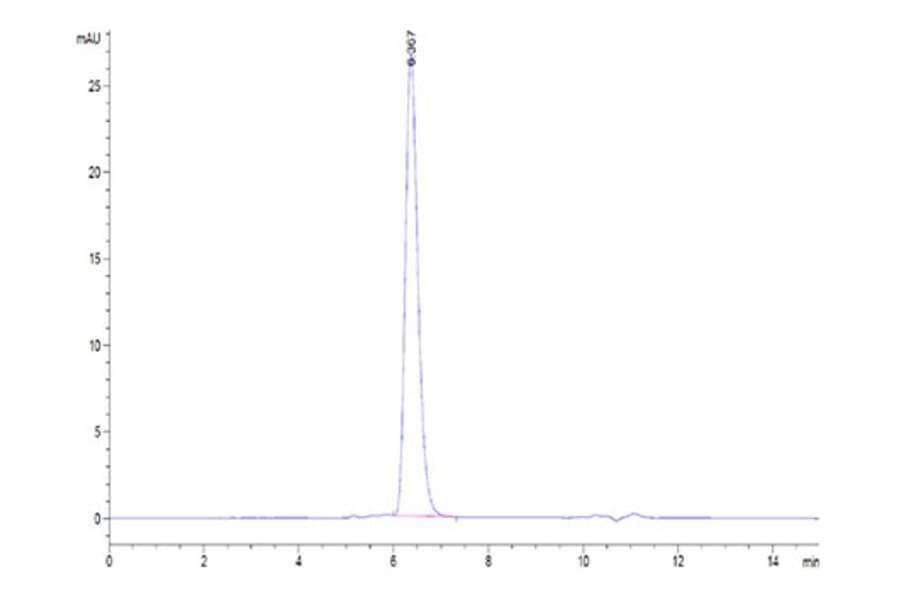 SEC-HPLC - Recombinant Human Notch2 Protein (Biotin) (C-terminal His and Avi Tag) (A331116) - Antibodies.com
