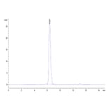 SEC-HPLC - Recombinant Human Notch2 Protein (Biotin) (C-terminal His and Avi Tag) (A331116) - Antibodies.com