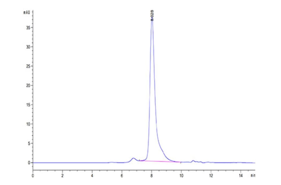 SEC-HPLC - Recombinant Human Notch3 Protein (C-terminal His and Avi Tag) (A331117) - Antibodies.com