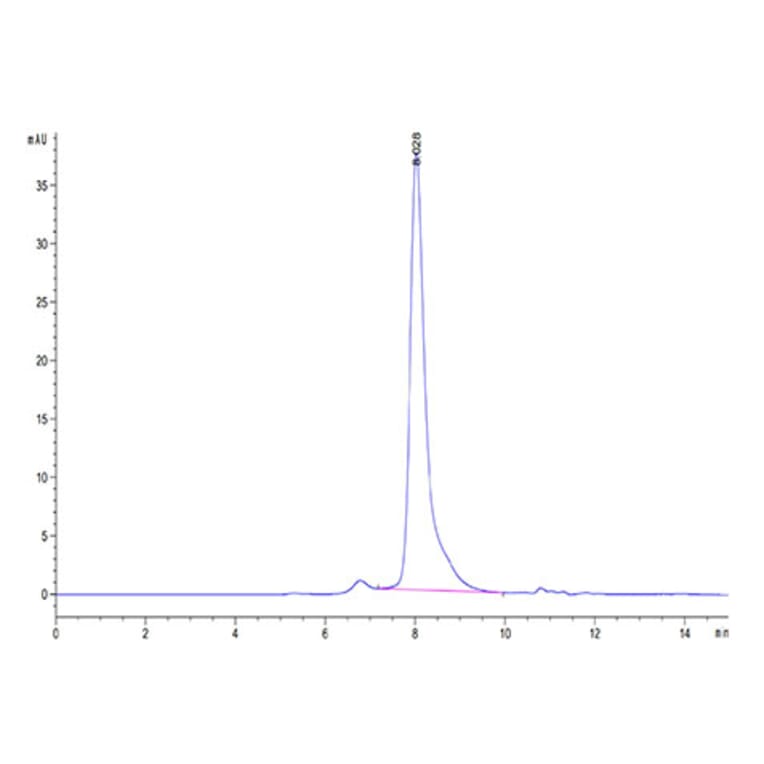 SEC-HPLC - Recombinant Human Notch3 Protein (C-terminal His and Avi Tag) (A331117) - Antibodies.com