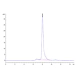 SEC-HPLC - Recombinant Human Notch3 Protein (C-terminal His and Avi Tag) (A331117) - Antibodies.com