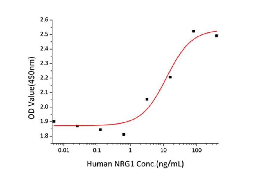 Proliferation Assay - Recombinant Human NRG1 Protein (A331118) - Antibodies.com