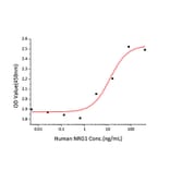 Proliferation Assay - Recombinant Human NRG1 Protein (A331118) - Antibodies.com