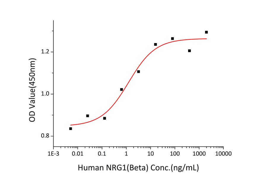Proliferation Assay - Recombinant Human NRG1 Protein (A331119) - Antibodies.com