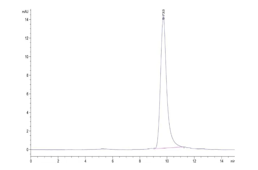 SEC-HPLC - Recombinant Human NUDT5 Protein (N-terminal His Tag) (A331123) - Antibodies.com
