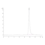 SEC-HPLC - Recombinant Human NUDT5 Protein (N-terminal His Tag) (A331123) - Antibodies.com