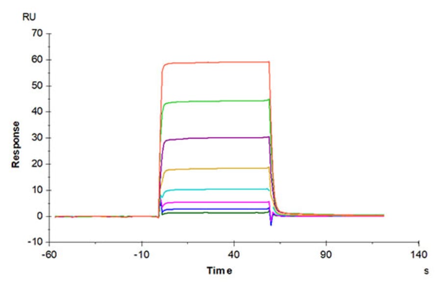 SPR Assay - Recombinant Human Oncostatin M/OSM Protein (Biotin) (C-terminal His and Avi Tag) (A331127) - Antibodies.com