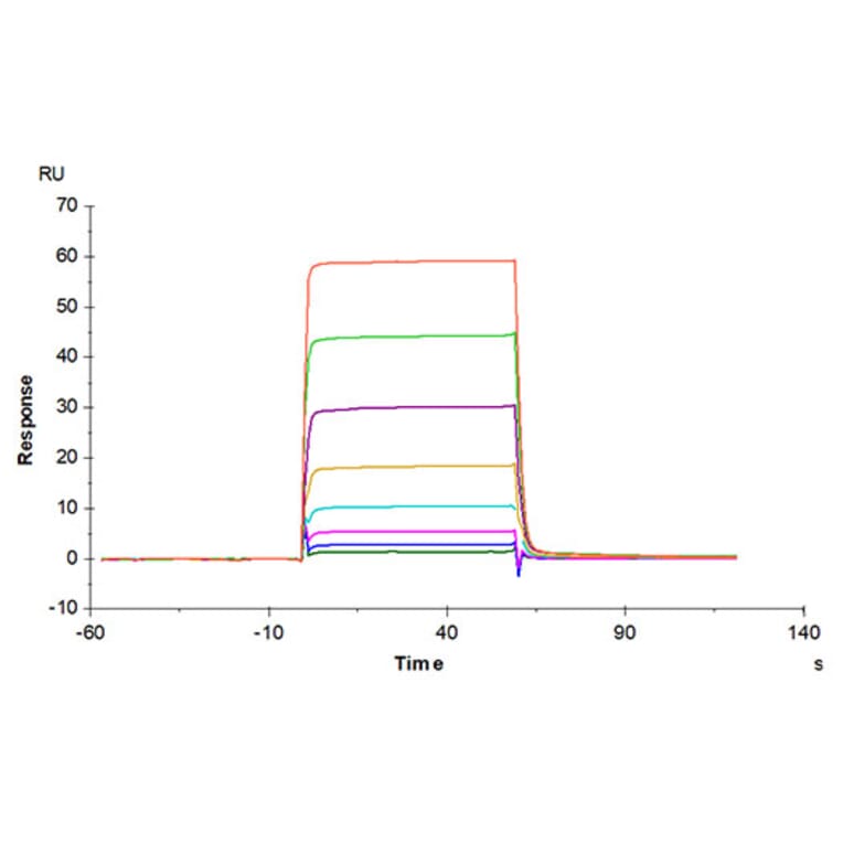 SPR Assay - Recombinant Human Oncostatin M/OSM Protein (Biotin) (C-terminal His and Avi Tag) (A331127) - Antibodies.com