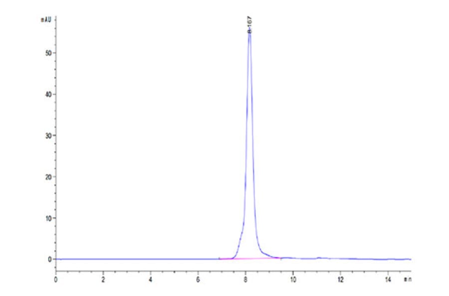 SEC-HPLC - Recombinant Human OSCAR Protein (C-terminal Human Fc Tag) (A331129) - Antibodies.com