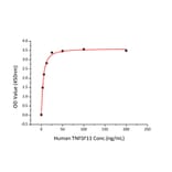 Standard Curve - Recombinant Human Osteoprotegerin Protein (C-terminal His Tag) (A331132) - Antibodies.com