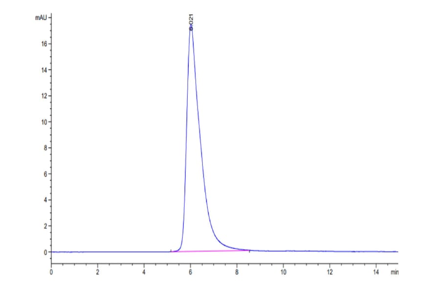 SEC-HPLC - Recombinant Human PD1 Protein (Biotin) (C-terminal Human Fc and Avi Tag) (A331144) - Antibodies.com