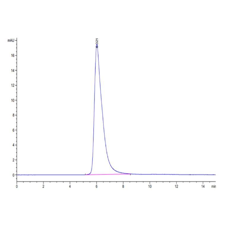 SEC-HPLC - Recombinant Human PD1 Protein (Biotin) (C-terminal Human Fc and Avi Tag) (A331144) - Antibodies.com