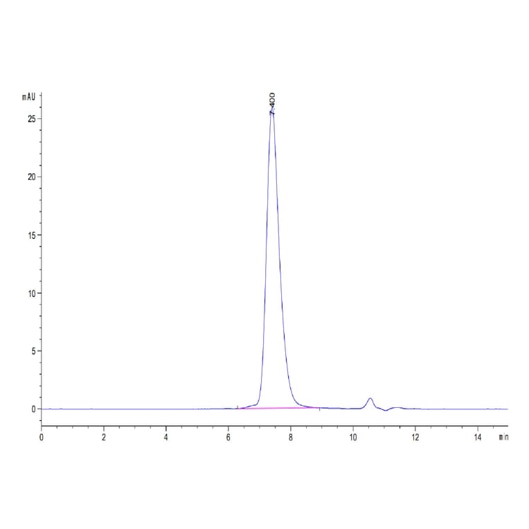 SEC-HPLC - Recombinant Human PD1 Protein (Biotin) (C-terminal His and Avi Tag) (A331145) - Antibodies.com