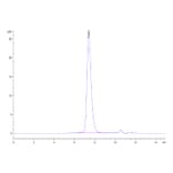 SEC-HPLC - Recombinant Human PD1 Protein (Biotin) (C-terminal His and Avi Tag) (A331145) - Antibodies.com