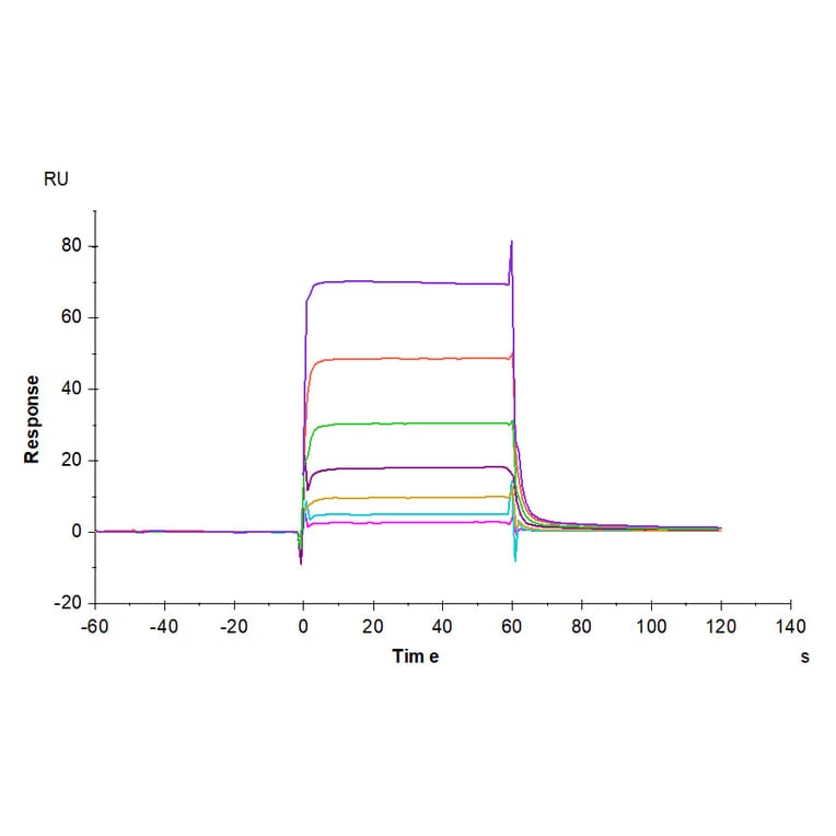SPR Assay - Recombinant Human PD1 Protein (Biotin) (C-terminal His and Avi Tag) (A331145) - Antibodies.com