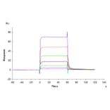 SPR Assay - Recombinant Human PD1 Protein (Biotin) (C-terminal His and Avi Tag) (A331145) - Antibodies.com