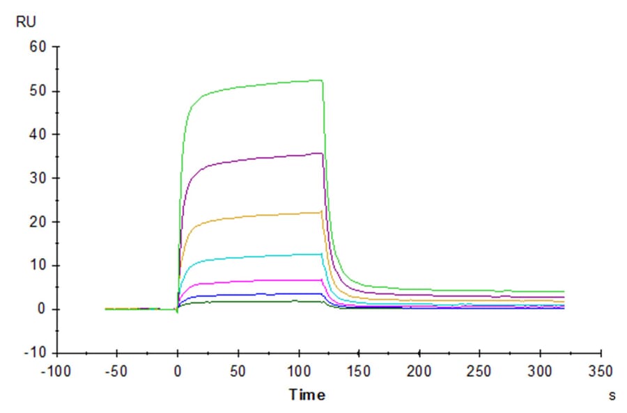 SPR Assay - Recombinant Human PD1 Protein (C-terminal Human Fc Tag) (A331146) - Antibodies.com