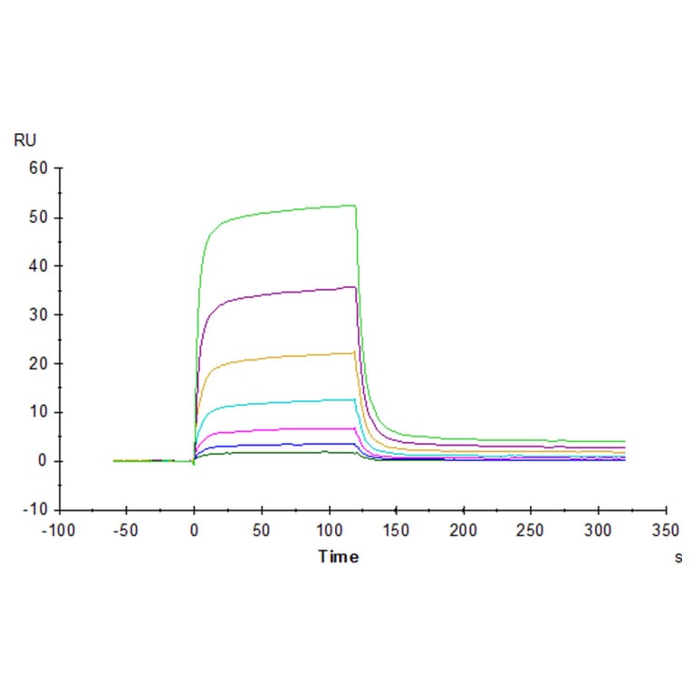SPR Assay - Recombinant Human PD1 Protein (C-terminal Human Fc Tag) (A331146) - Antibodies.com