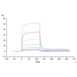 SPR Assay - Recombinant Human PD1 Protein (C-terminal Human Fc Tag) (A331146) - Antibodies.com