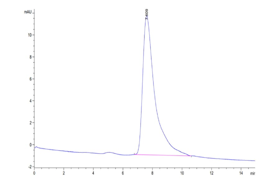 SEC-HPLC - Recombinant Human PD1 Protein (C-terminal His Tag) (A331147) - Antibodies.com