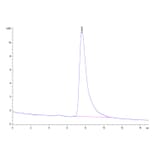 SEC-HPLC - Recombinant Human PD1 Protein (C-terminal His Tag) (A331147) - Antibodies.com