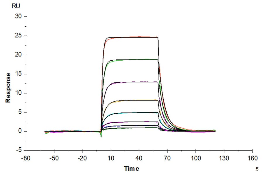 SPR Assay - Recombinant Human PD1 Protein (C-terminal His Tag) (A331147) - Antibodies.com