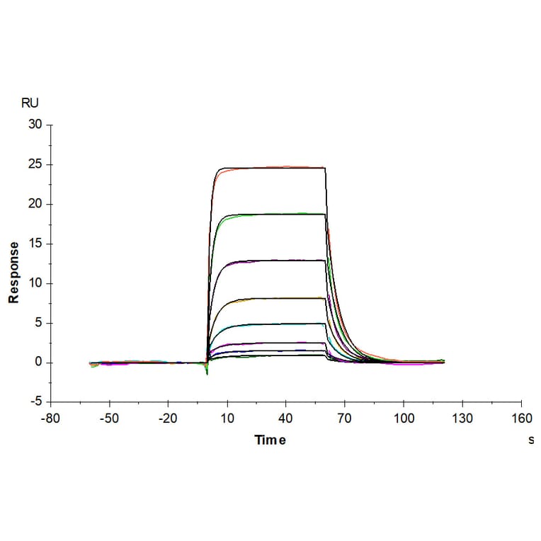 SPR Assay - Recombinant Human PD1 Protein (C-terminal His Tag) (A331147) - Antibodies.com