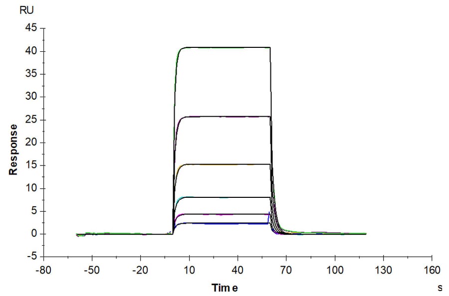 SPR Assay - Recombinant Human PD1 Protein (C-terminal His Tag) (A331147) - Antibodies.com