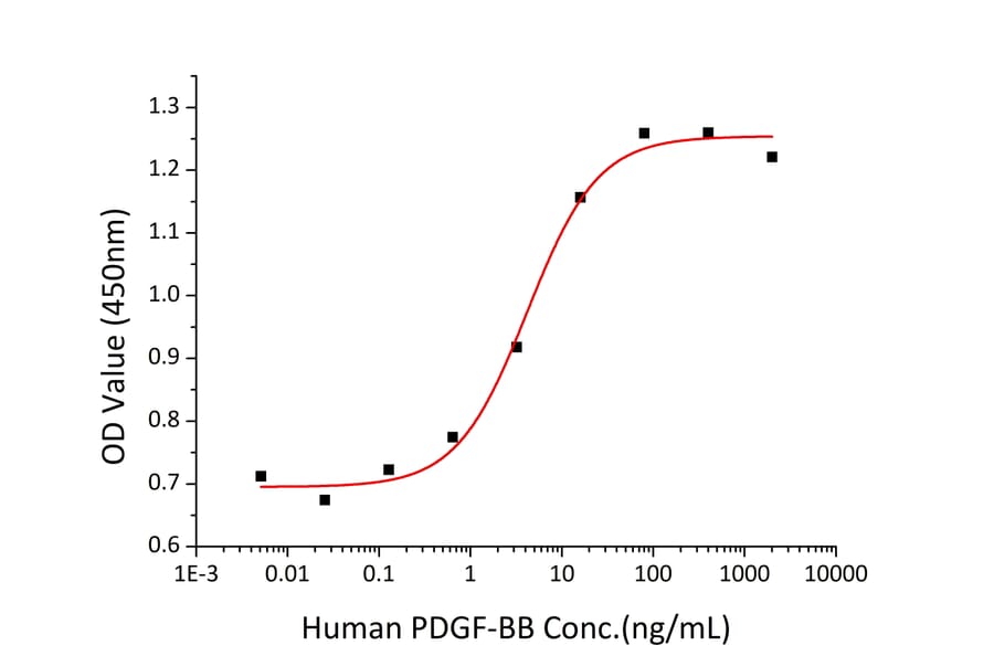 Proliferation Assay - Recombinant Human PDGF B Protein (A331150) - Antibodies.com