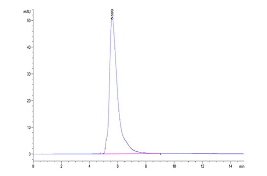 SEC-HPLC - Recombinant Human PD-L1 Protein (C-terminal Mouse Fc Tag) (A331155) - Antibodies.com